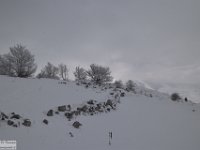 2018-01-13 M. Orsello 338